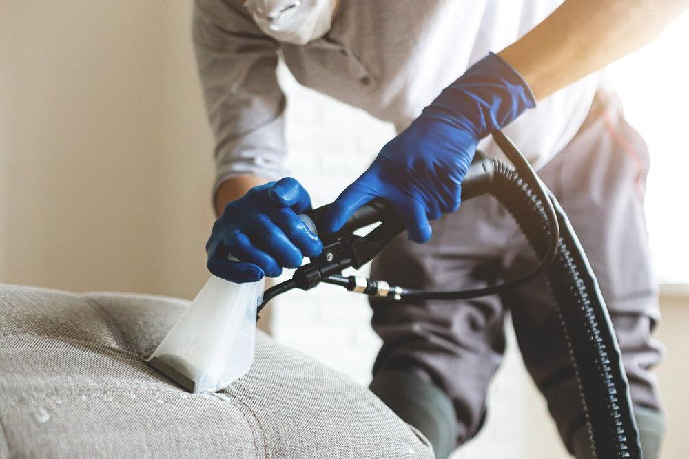 professional cleaning tool being used to remove dirt from a couch